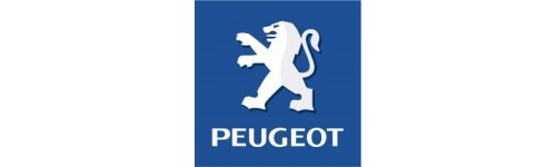 Peugeot turbo manifold